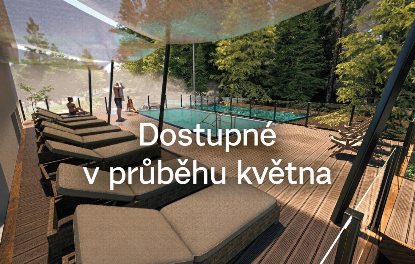 Orea Resort Horizont Sumava Železná Ruda Eksteriør bilde
